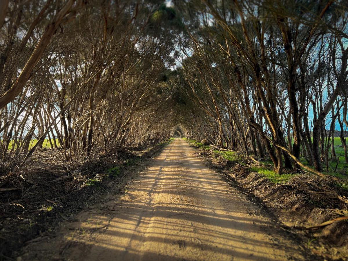 Cabn Kangaroo Island Penneshaw ภายนอก รูปภาพ